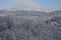 Winter 14.02.2009 003